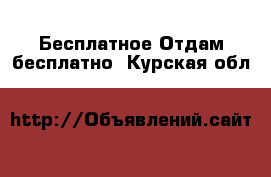 Бесплатное Отдам бесплатно. Курская обл.